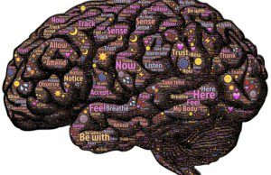 Mozog inteligencia