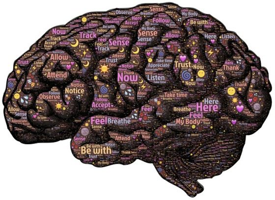 Mozog inteligencia
