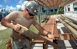 Pracovník, zamestnanie a práca s drevom