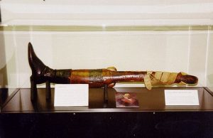 Santa Anna generál a jeho noha