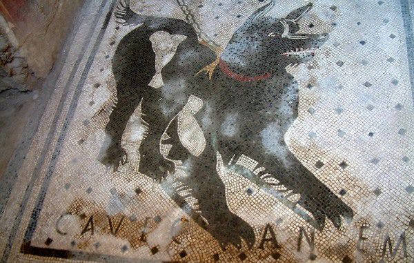  Mozaika pozor pes, Pompeje