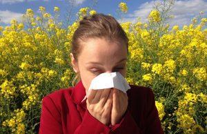 Alergia a alergén: peľ z rastliny a kvetu