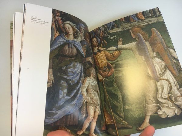 Sixtínska kaplnka a Michelangelo, kniha