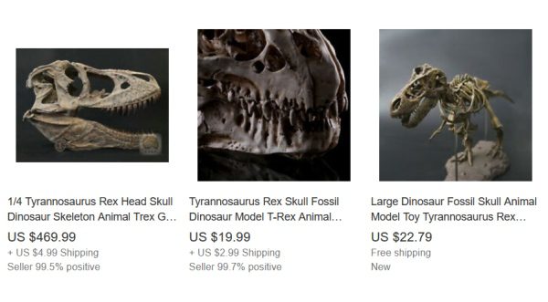 Repliky dinosaurov kostry a lebky, Tyranosaurus