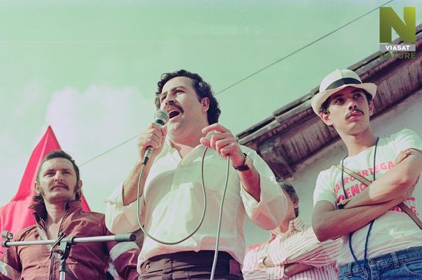 Escobar a jeho hrochy