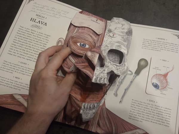 Ľudské telo 3d sprievodca anatómiou človeka kniha