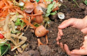 kompost v rukách a význam pre kompostovanie