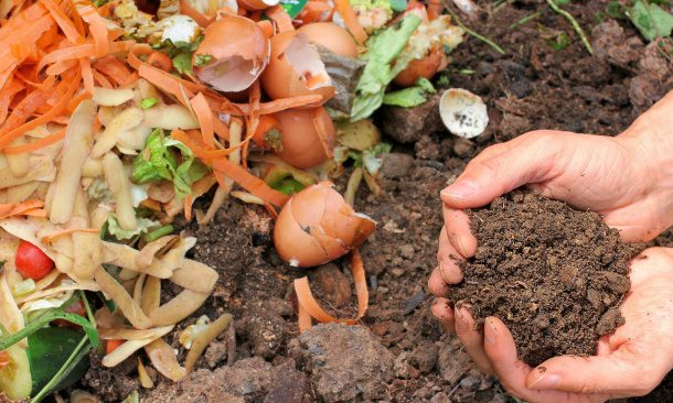 kompost v rukách a význam pre kompostovanie