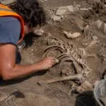 Kostra bez hlavy: archeológ vyberá medzi upírom, odsúdencom, vojakom…