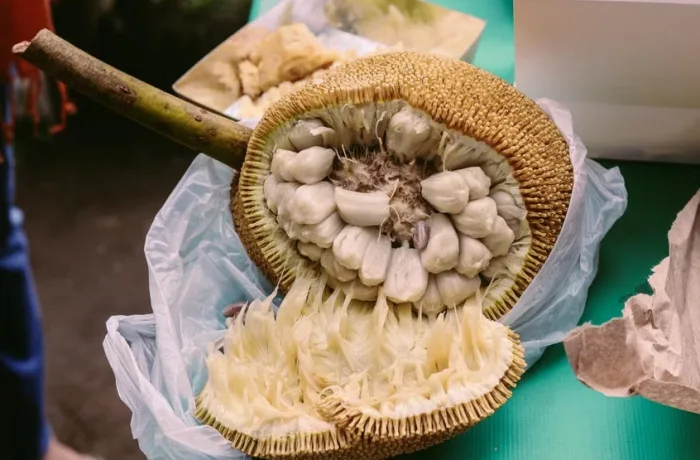 Jackfruit, Plod chlebovníka rôznolistého (Artocarpus heterophyllus), foto: pexels.com