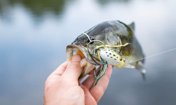 Rybačka a chytanie rýb, foto: pexels